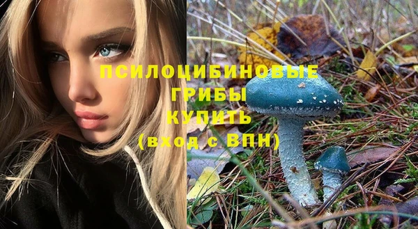 гашик Белоозёрский