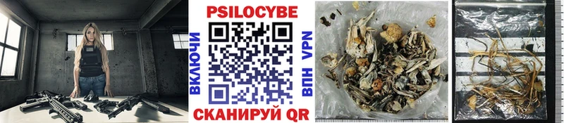 Купить закладки Жирновск Галлюциногенные грибы прущие грибы
